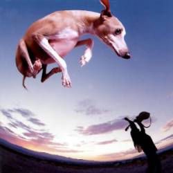 Paul Gilbert : Flying Dog
